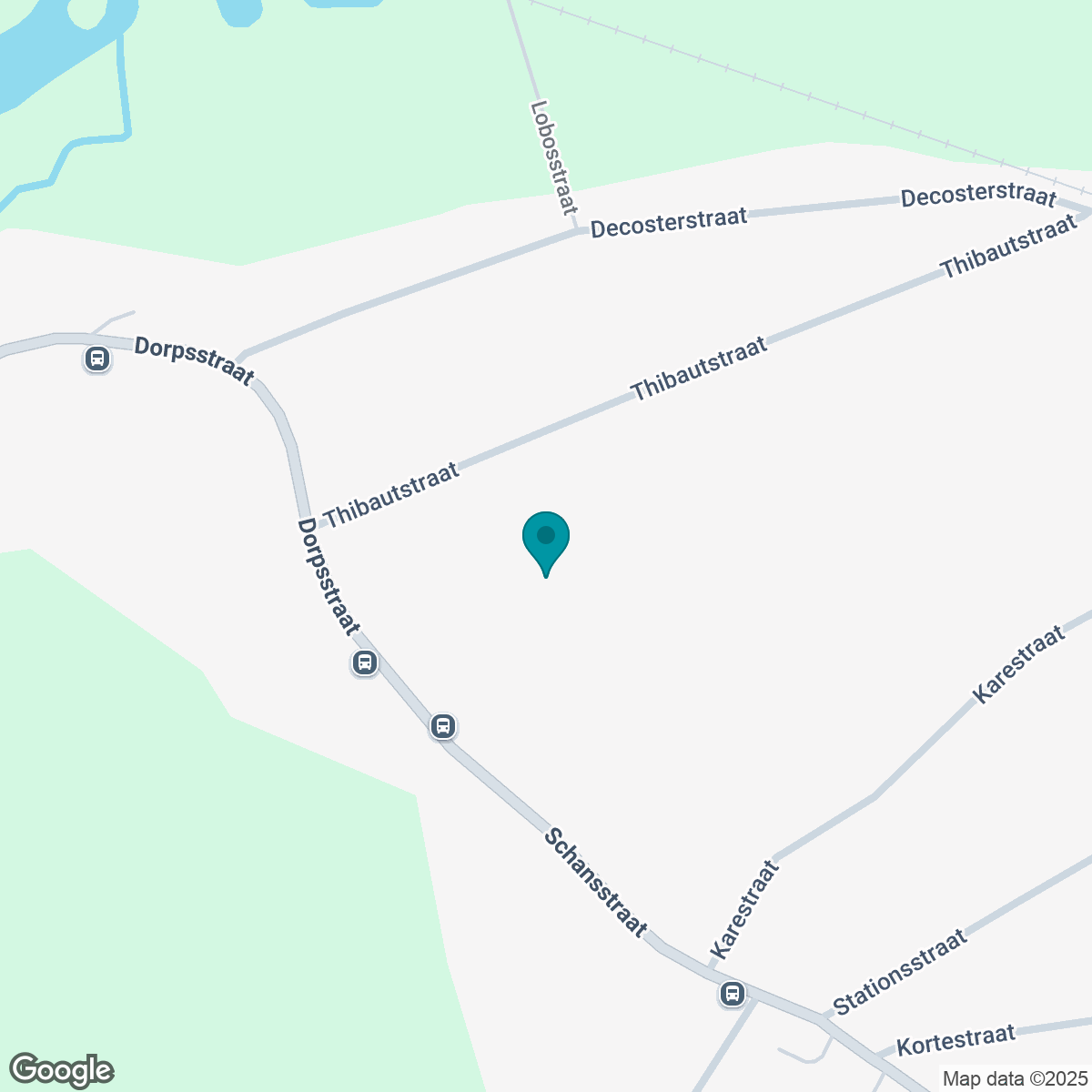 Static image showing pin of project location on a google map