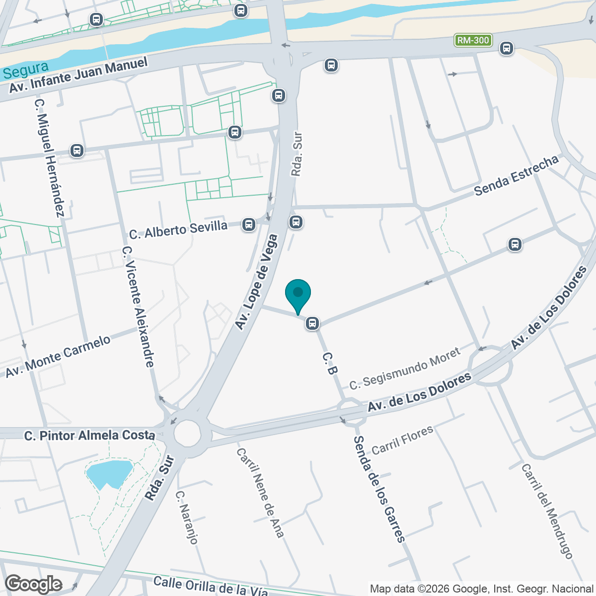 Static image showing pin of project location on a google map